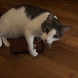 Meet your Posher, Aileen